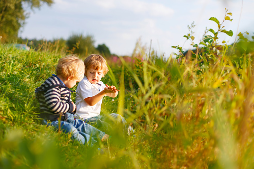 Two little brother boys playing near forest lake on summer evening. Cute siblings, toddlers and children playing together. Family on weekend or vacations