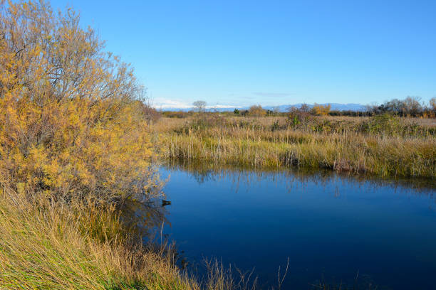 istock Grado Lagoon in Winter, Italy 1302628336