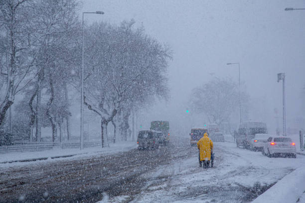 istock human walking on a snowy day 1302629723
