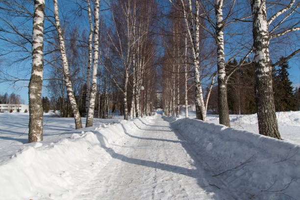 winter landscape stock photo