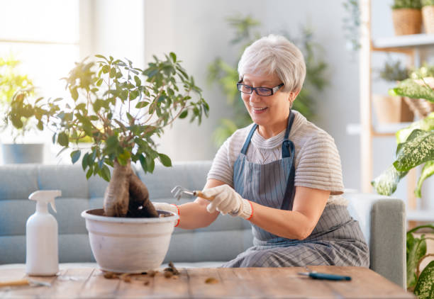 istock Woman caring for plants 1302631890