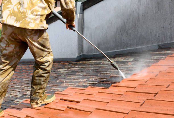 Clean and dirty roof tiles. High pressure washing of rooftop. Professional in uniform using high pressure machine to clean rooftop from dirt and lichen. Before and after situation. Clean and dirty roof tiles. house washing stock pictures, royalty-free photos & images