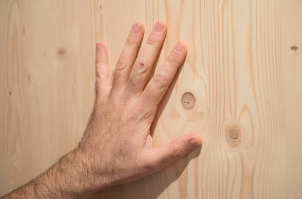 Natural resource and building material wood as natural construction material