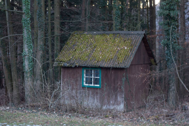 istock wooden shed, a small accomodation 1302632825