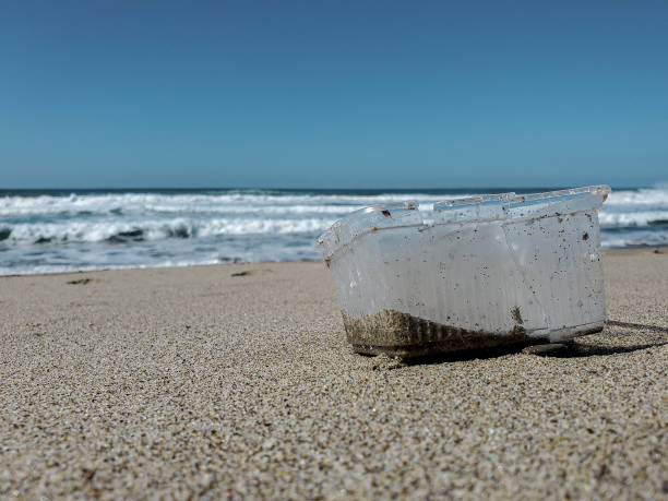 istock Plastic container pollution on sandy sea coast over blur background,cilento 1302633013