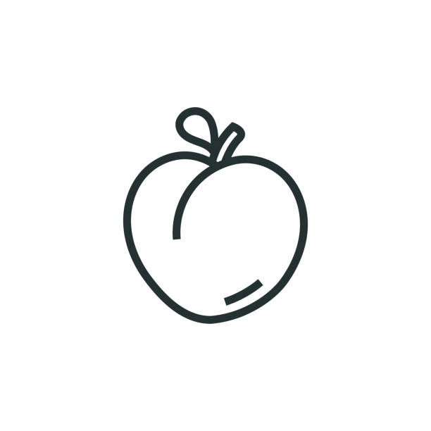 illustrations, cliparts, dessins animés et icônes de icône peach line - peaches