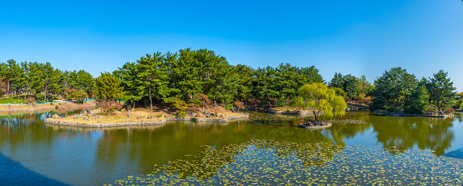 Park at Anapji pond grounds in Gyeongju, Republic of Korea