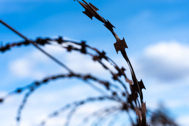 istock Barbed wire rusty on a background of blue sky 1302638618