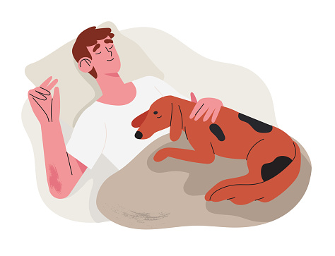 Man sleep comfortably and relaxed in his bad with pet dog puppy late at night. Concept of orthopedic or countour memory foam pillow or duvet shop and other accessories for healthy night sleep.