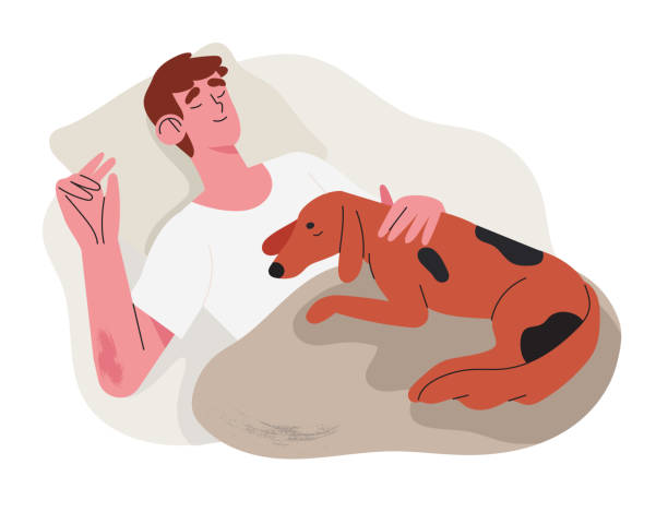 Man sleep comfortably and relaxed in his bad with pet dog puppy late at night. Concept of orthopedic or countour memory foam pillow or duvet shop and other accessories for healthy night sleep. Man sleep comfortably and relaxed in his bad with pet dog puppy late at night. Concept of orthopedic or countour memory foam pillow or duvet shop and other accessories for healthy night sleep. resting illustrations stock illustrations