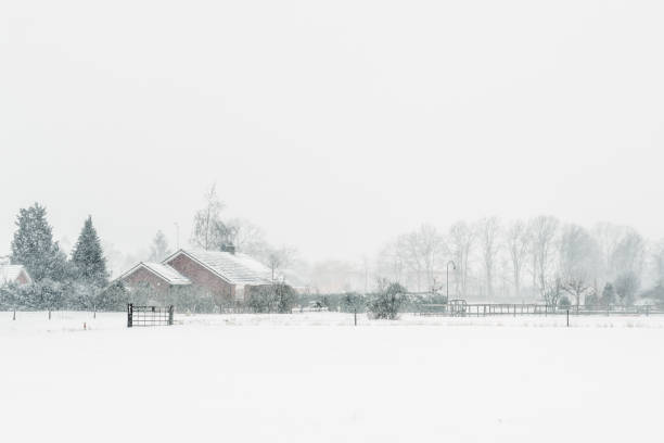 istock House in countryside covered in snow. 1302641608