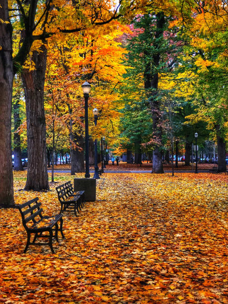 istock PSU Park Blocks in Autumn 1302642727