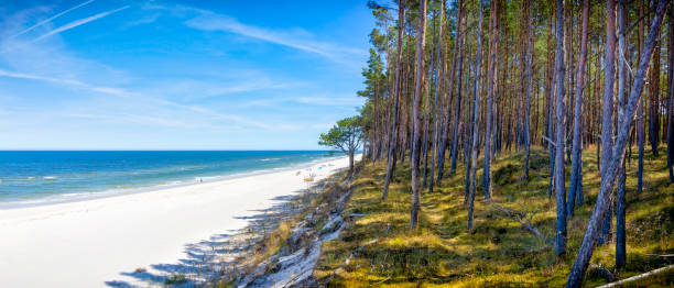 Vacations in Poland - Baltic seashore in Pogorzelica Vacations in Poland - Baltic seashore in Pogorzelica, small tourist resort in west pomeranian voivodeship polish beach stock pictures, royalty-free photos & images