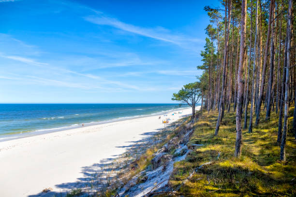 istock Vacations in Poland - Baltic seashore in Pogorzelica 1302646415