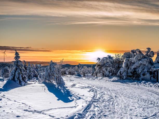 beautiful winter landscape in the Ore Mountains on the Fichtelberg beautiful winter landscape in the Ore Mountains on the Fichtelberg erzgebirge stock pictures, royalty-free photos & images