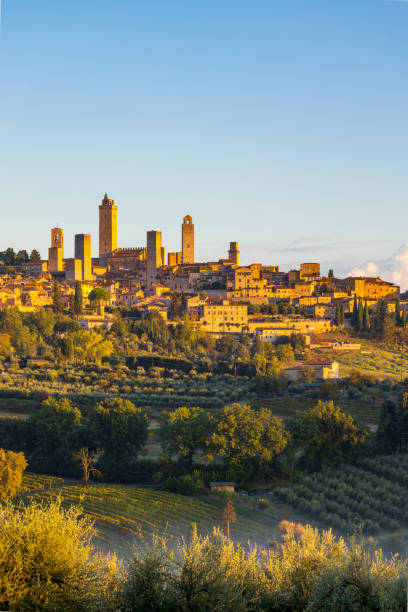 istock San Gimignano, UNESCO site, Tuscany, Italy 1302648920