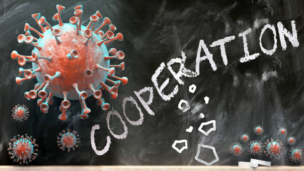istock Covid and cooperation - covid-19 viruses breaking and destroying cooperation written on a school blackboard, 3d illustration 1302650576