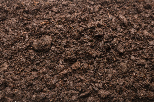 istock Black land for plant background. 1302652150