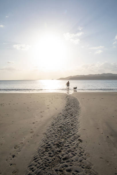 istock Man and dog walk down sandy beach at sunrise 1302652177