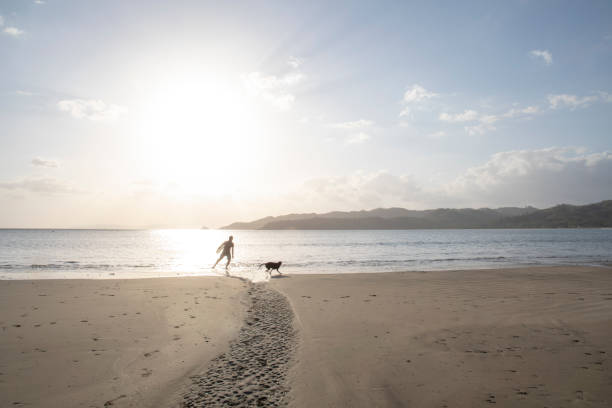 istock Man and dog walk down sandy beach at sunrise 1302652318