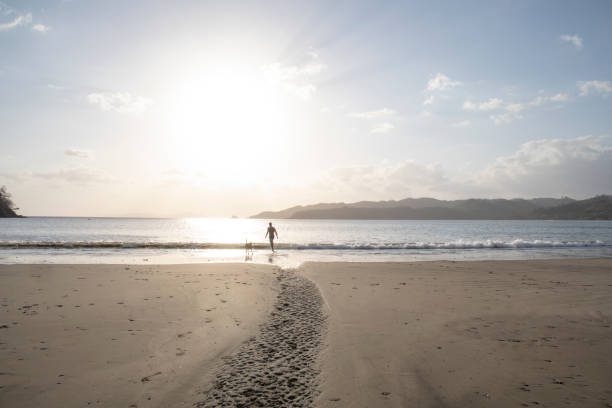 istock Man and dog walk down sandy beach at sunrise 1302652319