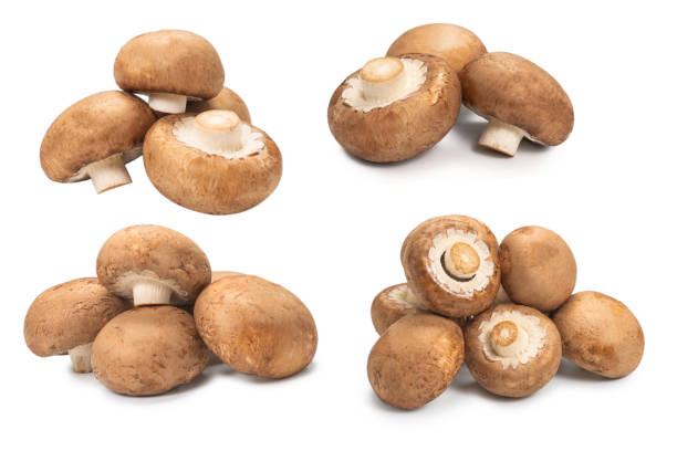 istock Tasty mushroom isolated on white background. 1302652864