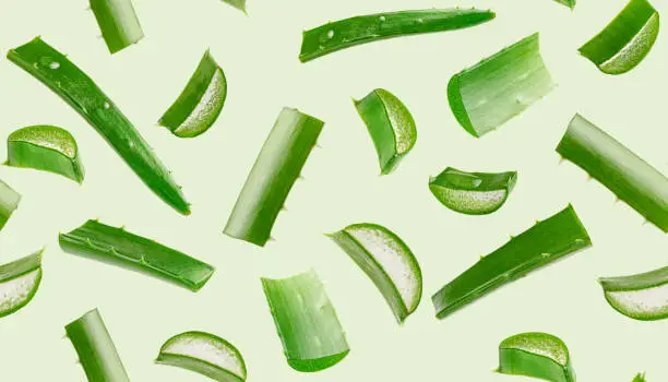 Photo of Aloe vera seamless pattern on green background.