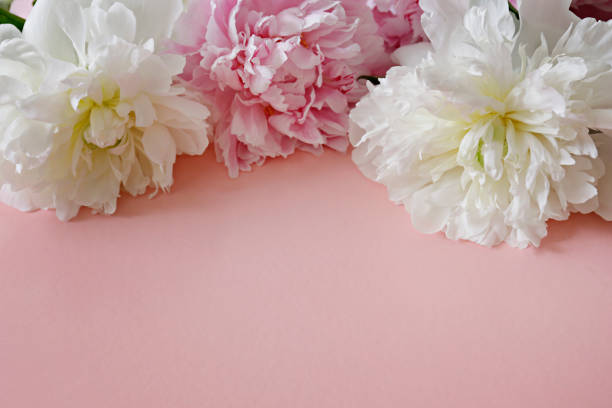 istock Spring season flowers. 1302654180