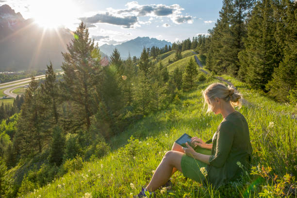 istock Woman uses digital tablet on mountain meadow, sunset 1302654517