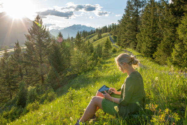 istock Woman uses digital tablet on mountain meadow, sunset 1302654616