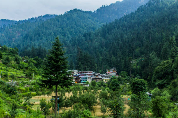 The various views of Jibhi Village Often referred to as a mesmerising "hamlet" situated amidst the lush green forests and surrounded by variegated mountain, Jibhi is just the right place to relax kullu stock pictures, royalty-free photos & images
