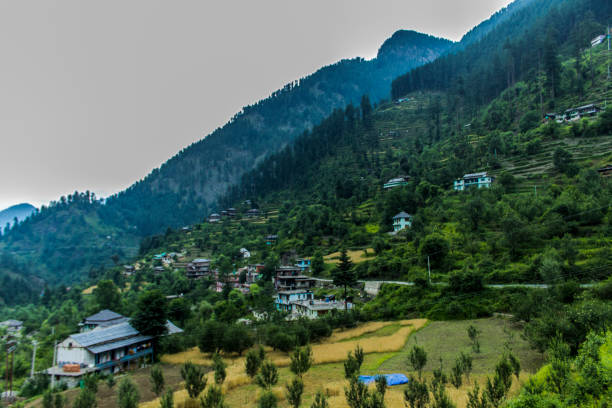 The various views of Jibhi Village Often referred to as a mesmerising "hamlet" situated amidst the lush green forests and surrounded by variegated mountain, Jibhi is just the right place to relax kullu stock pictures, royalty-free photos & images