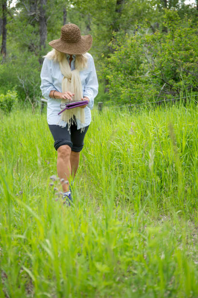 istock Woman follows path through green mountain meadow 1302654756