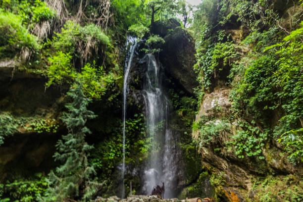 Jibhi is situated in the remote Banjar Valley of Himachal Pradesh. It is 40 km/1 hr southwest of the town of Aut