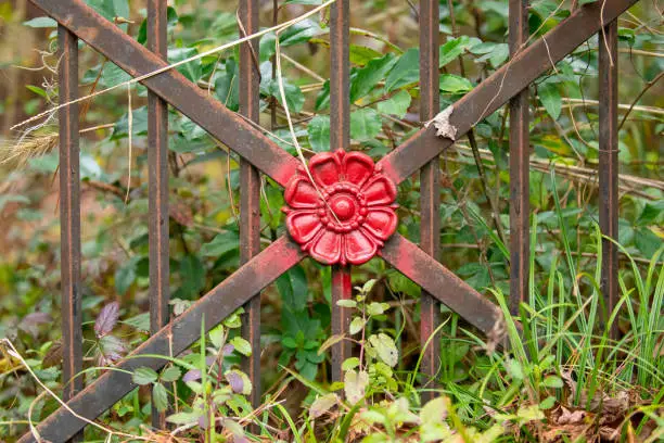 Close up of an overgrown iron gate with a red spraypainted flower shape attached