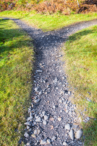 The path ahead diverging in two different directions.