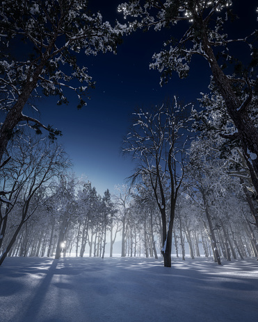 Digitally generated idyllic dawn/dusk winter landscape in a forest\n\nThe scene was rendered with photorealistic shaders and lighting in Autodesk® 3ds Max 2020 with V-Ray 5 with some post-production added.