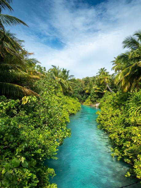 istock Reethi Rah Resort, Maldives. 1302661425