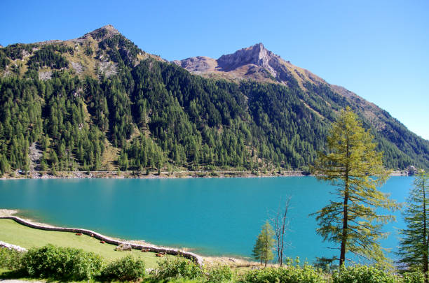 istock bright blue mountain lake under blue sky with woods, stones and snow 1302663648