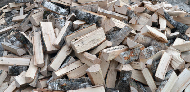 istock A Stack of birch firewood close up. 1302667396