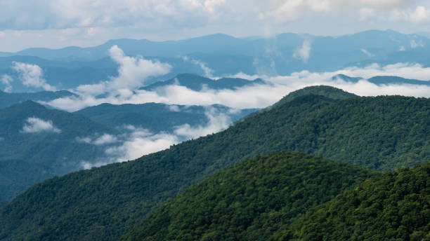 istock Foggy Morning in the Mountain Valleys 1302667556