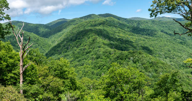 istock Appalachian Mountain View Along the Blue Ridge Parkway 1302667790