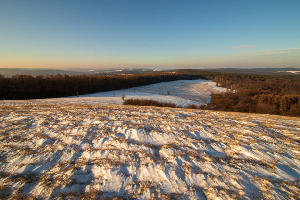 istock winter landscape with trees and snow 1302670262