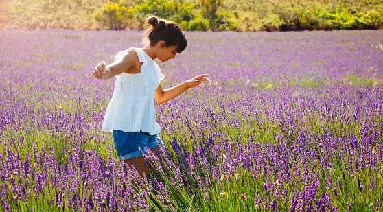 Girl with a hair bun, white blouse and denim shorts enjoying nature and summer in a french lavender field