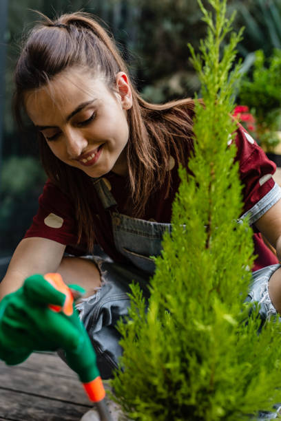 istock Woman caring about flowers in pots 1302672047
