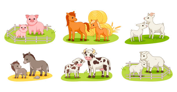 Set with domestic animals and their babies Collection of cute domestic animals and their babies. Big cartoon set of farm animals with mom and baby horse, cow, pig, donkey, goat and ram isolated on white background. colts stock illustrations