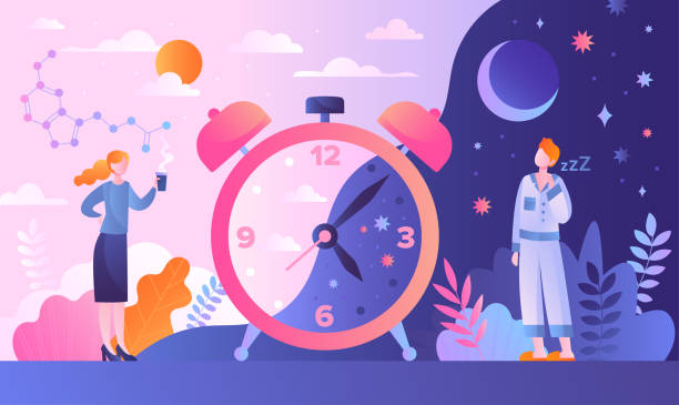 Circadian rhythm concept with tiny characters Circadian rhythm concept with tiny characters. Day and night cycle scheme. Daily human body inner regulation schedule. Natural sleep and wake biological process. Abstract cartoon vector illustration morning afternoon night stock illustrations