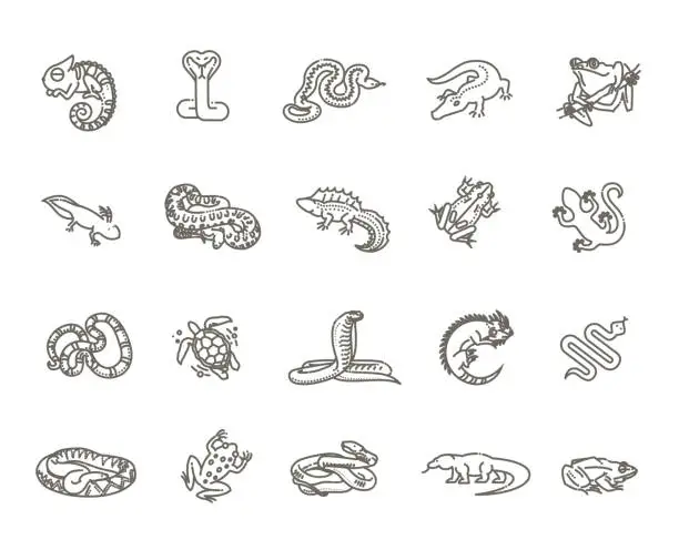 Vector illustration of Reptiles and amphibians icons set. Line design