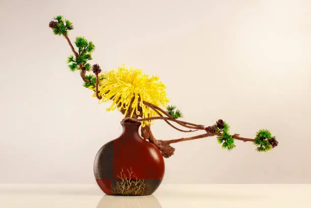 Ikebana. Refined simplicity in the interior. Japanese culture, traditional art. Composition of living and inanimate material.