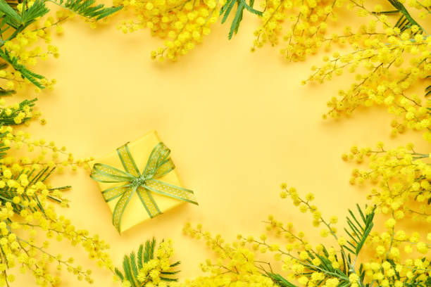 黄色のミモザの花はギフトボックスとフレーム。 女性の日、イースター、春の構成。コピースペースのあるトップビュー